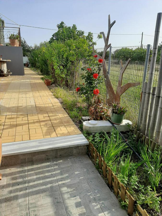Helen'S Cozy Studio Коропион Екстериор снимка